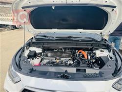 تويوتا هايلاندر